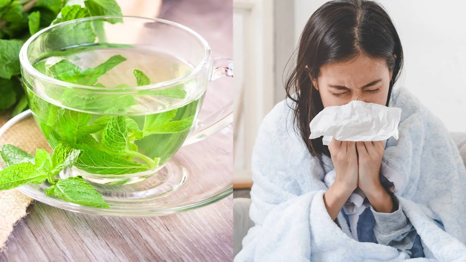 Secangkir teh daun mint dan seorang perempuan yang sedang pilek