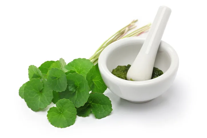 manfaat centella asiatica