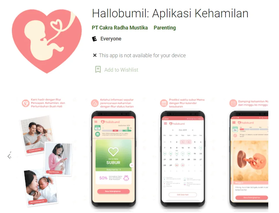 3. Hallo Bumil
