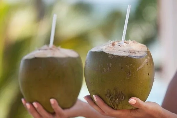 Manfaat Air Kelapa Muda untuk Ibu Hamil & Resep Olahannya