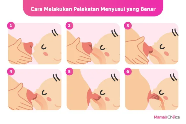 cara pelekatan saat menyusui ASI yang benar dan baik