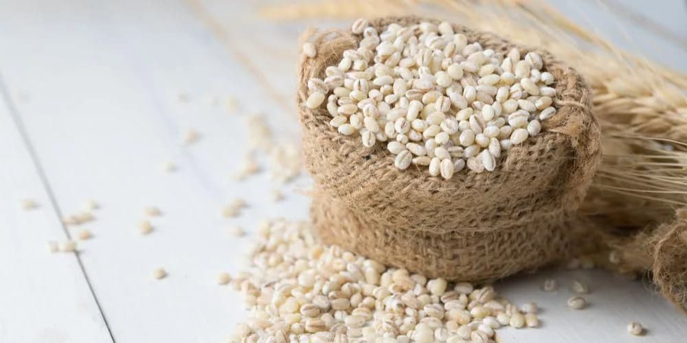 Barley