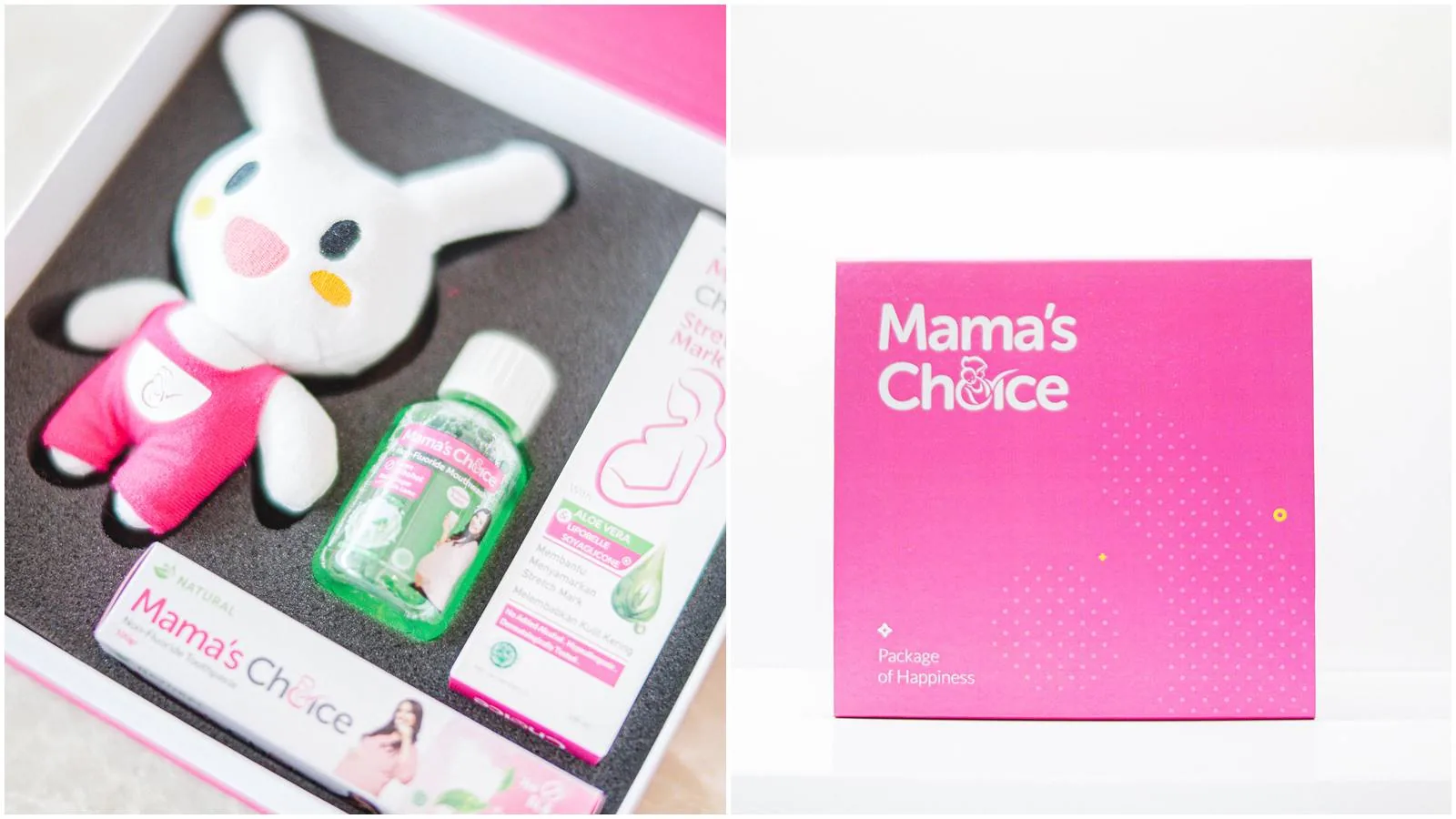 5. Paket perawatan ibu hamil