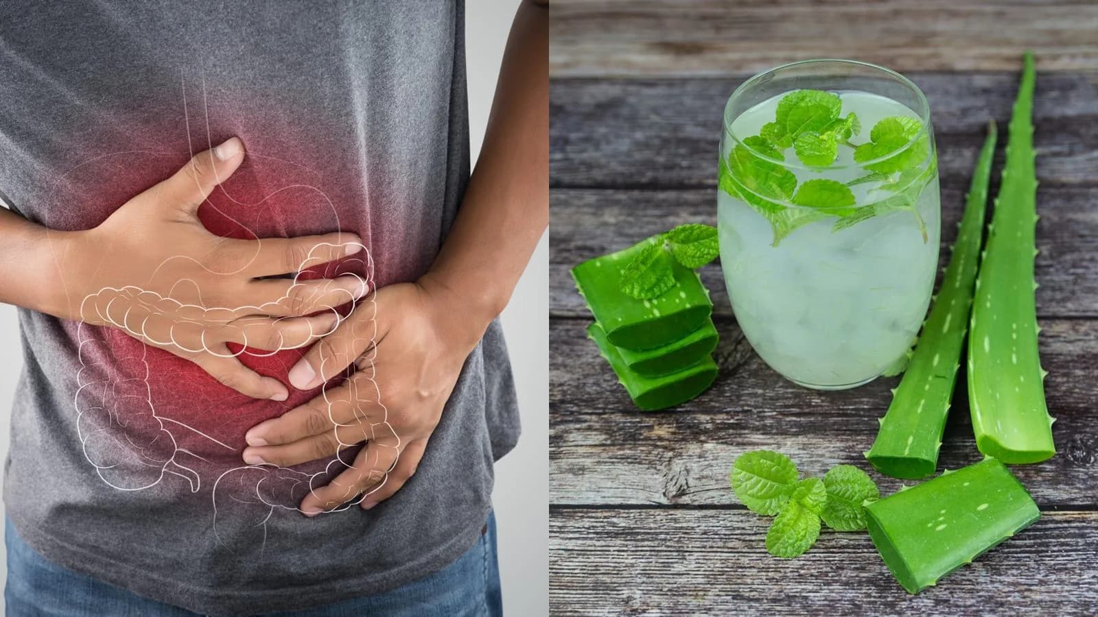 aloe vera bagus untuk pencernaan
