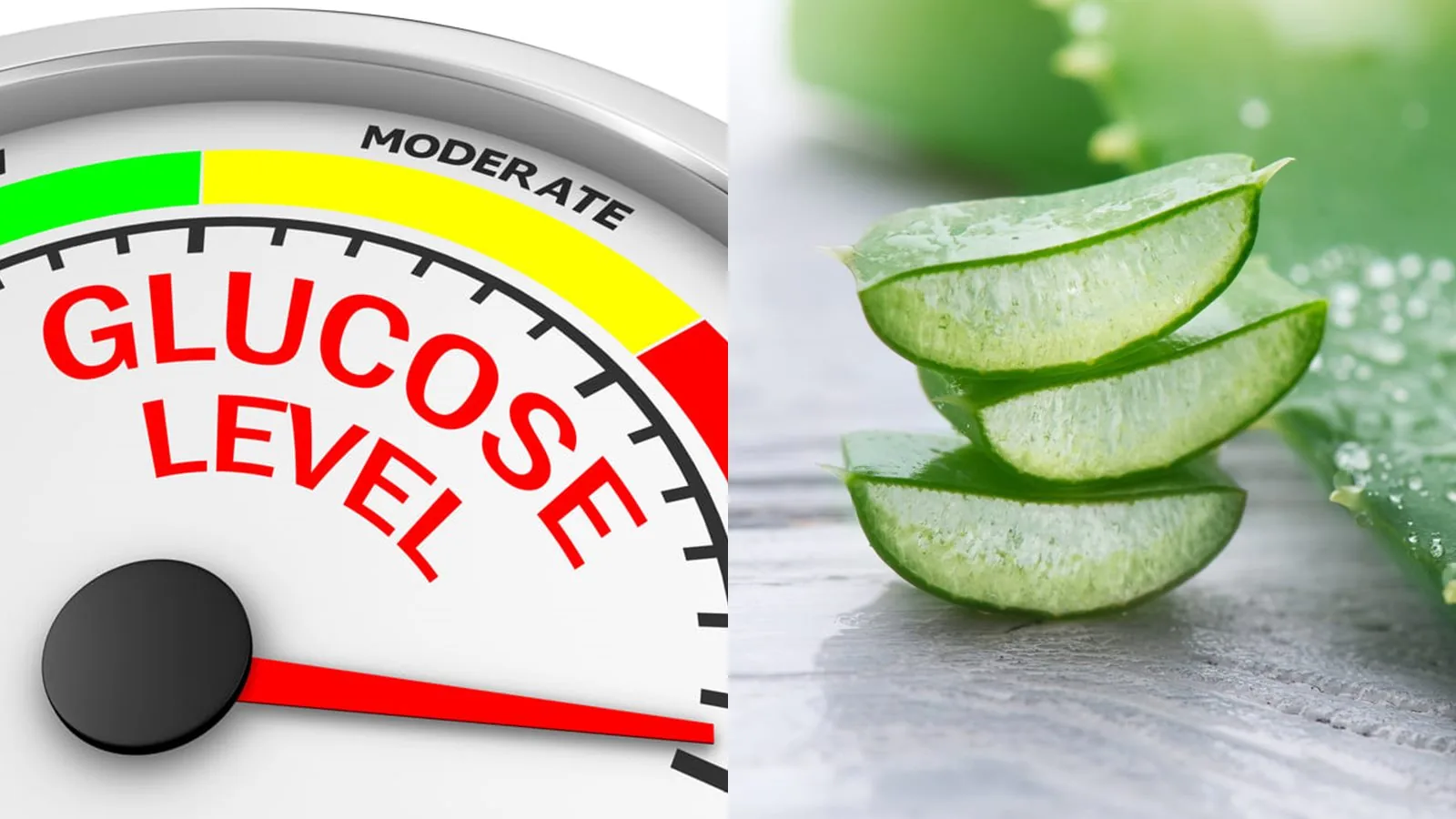 aloe vera untuk kadar gula darah