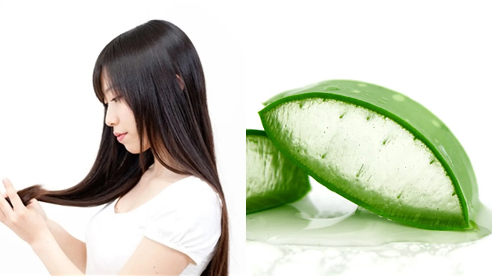 manfaat lidah buaya untuk rambut