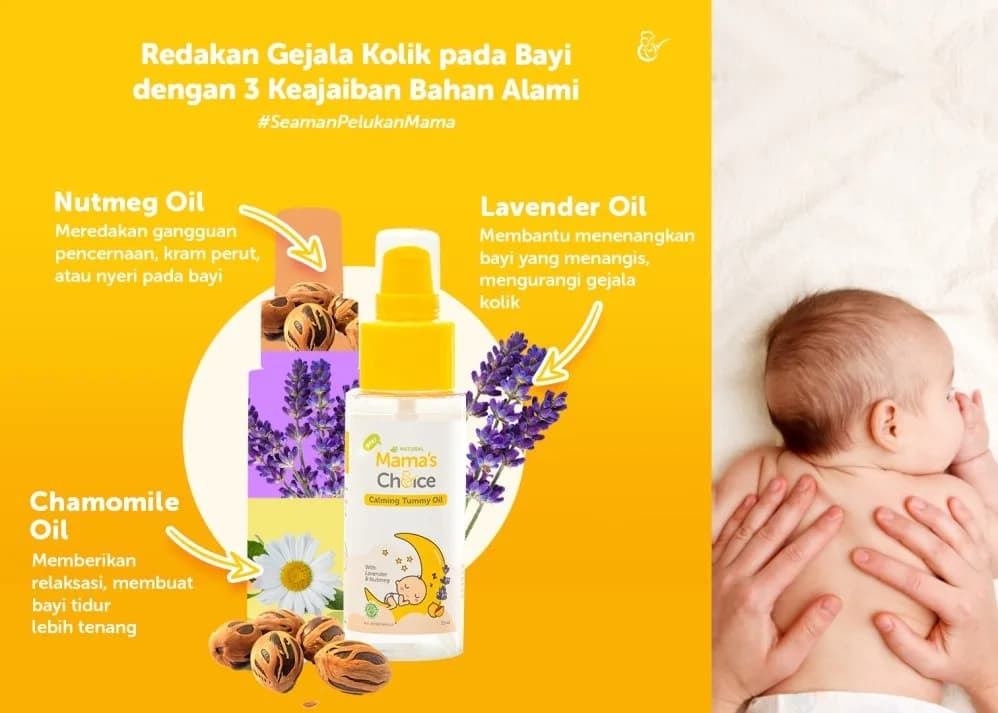 manfaat minyak lavender untuk mengatasi bayi kolik dan rewel
