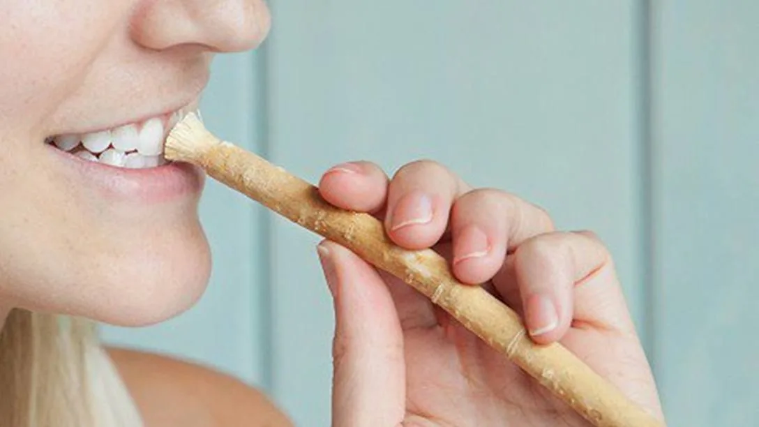Siwak adalah: Pengganti Fluoride yang Aman dan Alami