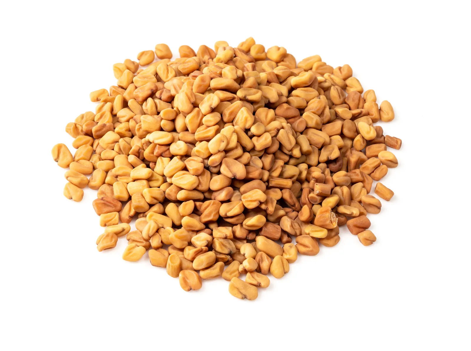 Biji fenugreek