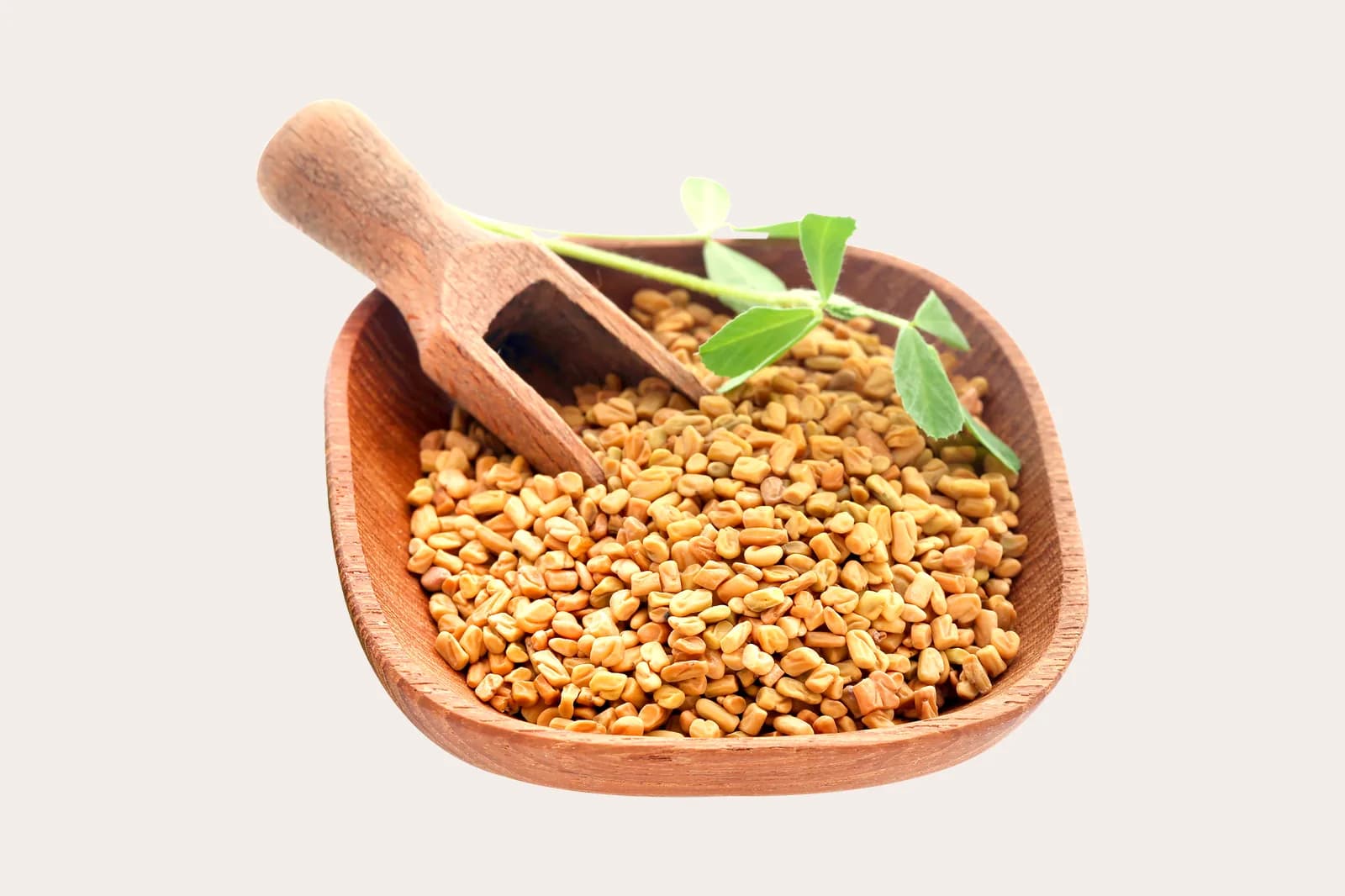 Biji fenugreek dalam mangkuk kayu