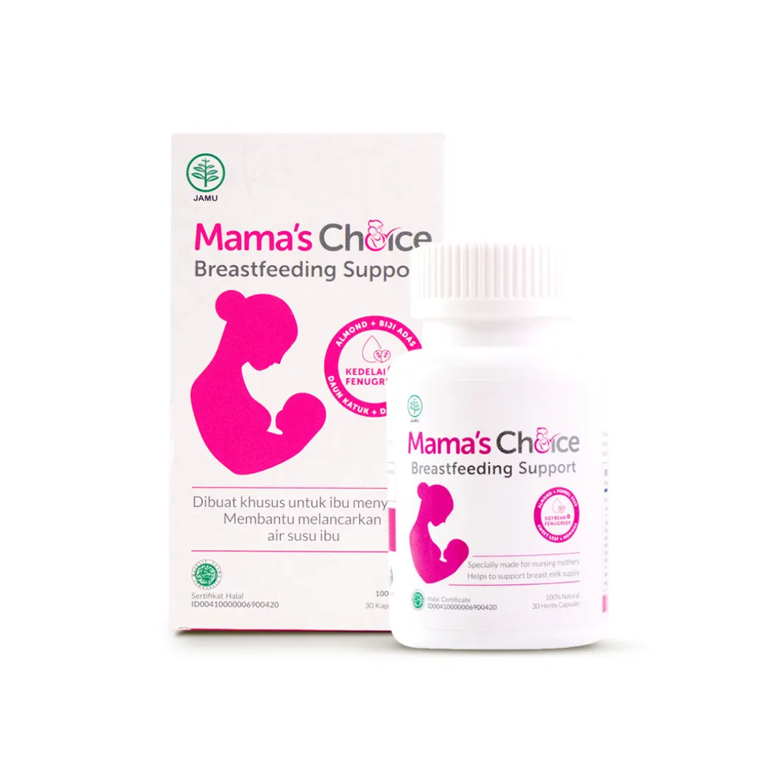 Breastfeeding Support (ASI Booster)