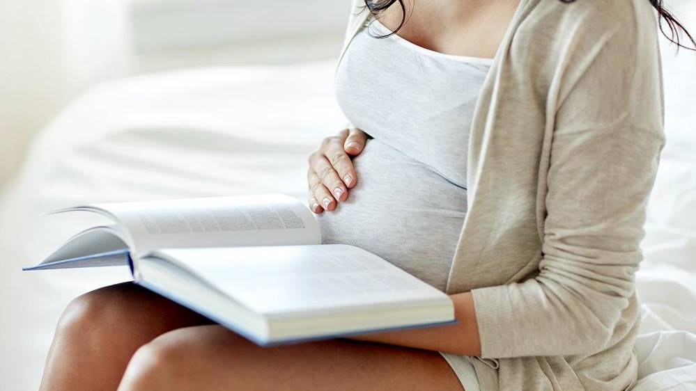 buku panduan kehamilan