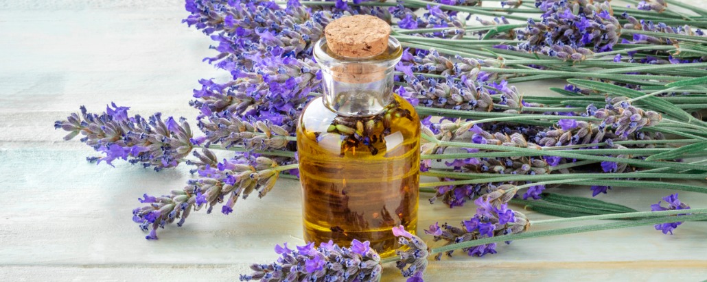 1000 Manfaat Minyak Lavender untuk Tubuh & Kesehatan