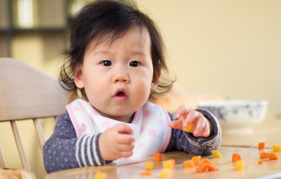 menu finger food bayi 9 bulan hingga 1 tahun