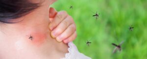 pengusir nyamuk alami, bahan alami pengusir nyamuk, pengusir nyamuk alami untuk bayi