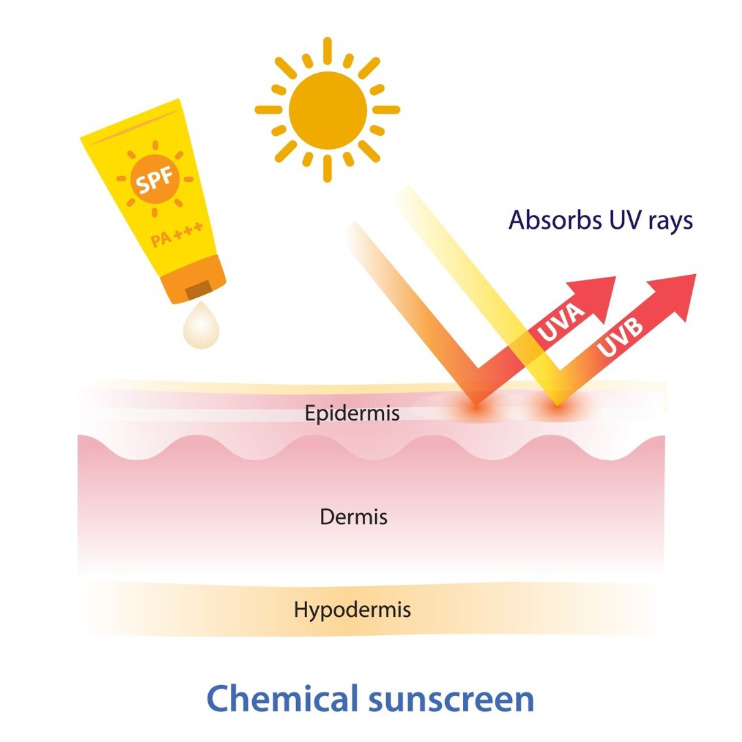 Cara Kerja Chemical Sunscreen pada Kulit